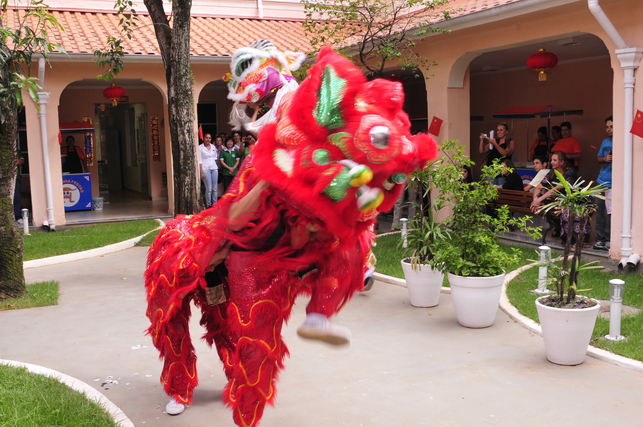 Ano Novo Chinês no Instituto Confúcio (2013)