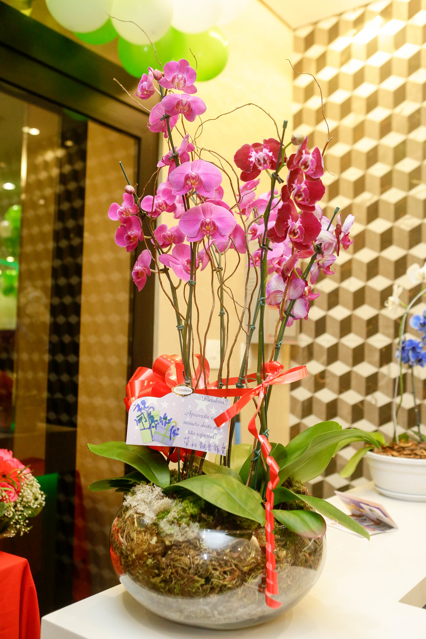 Inauguração do Fresh Hotel