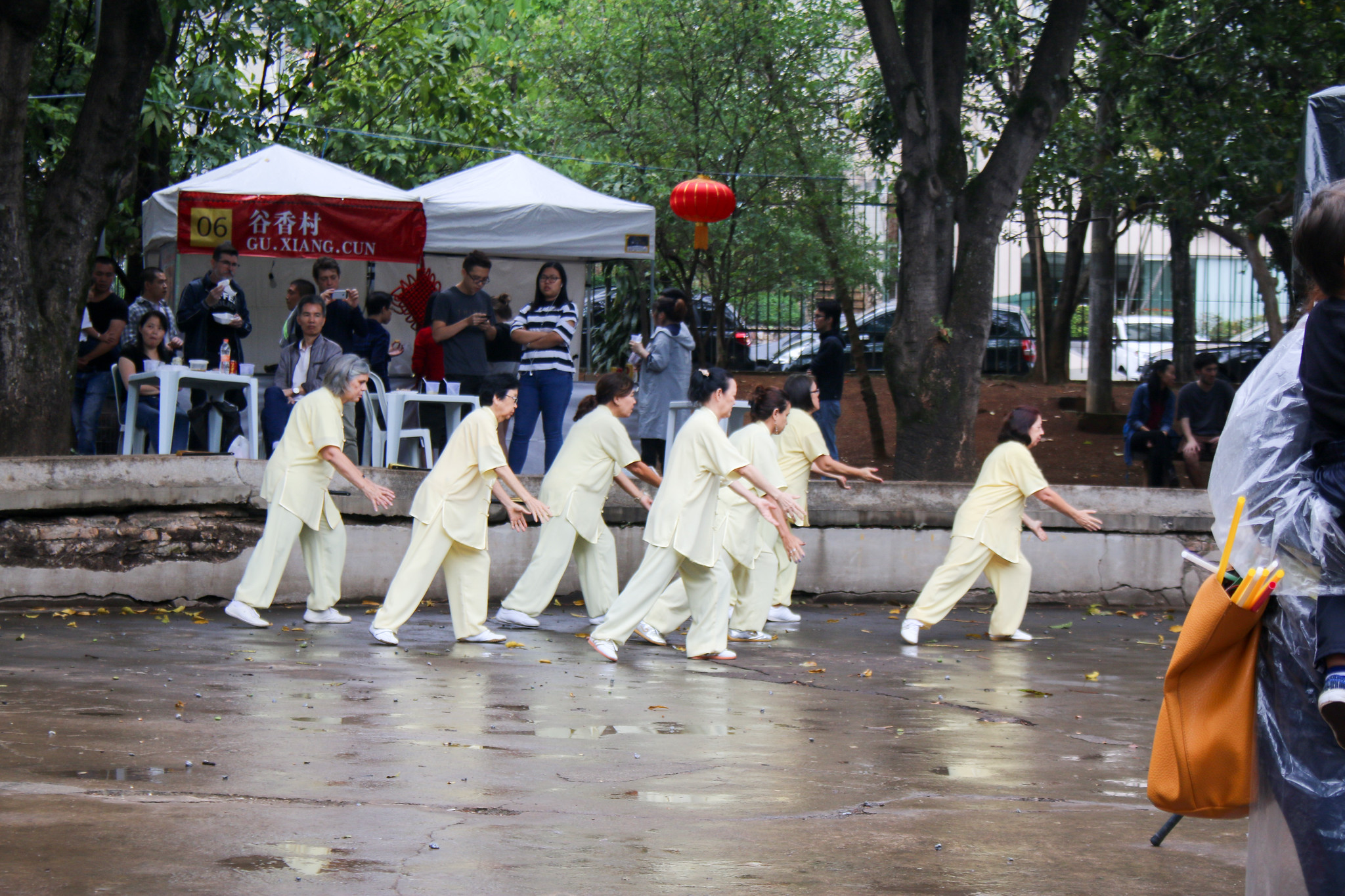 Festival Lunar de Gastronomia Chinesa