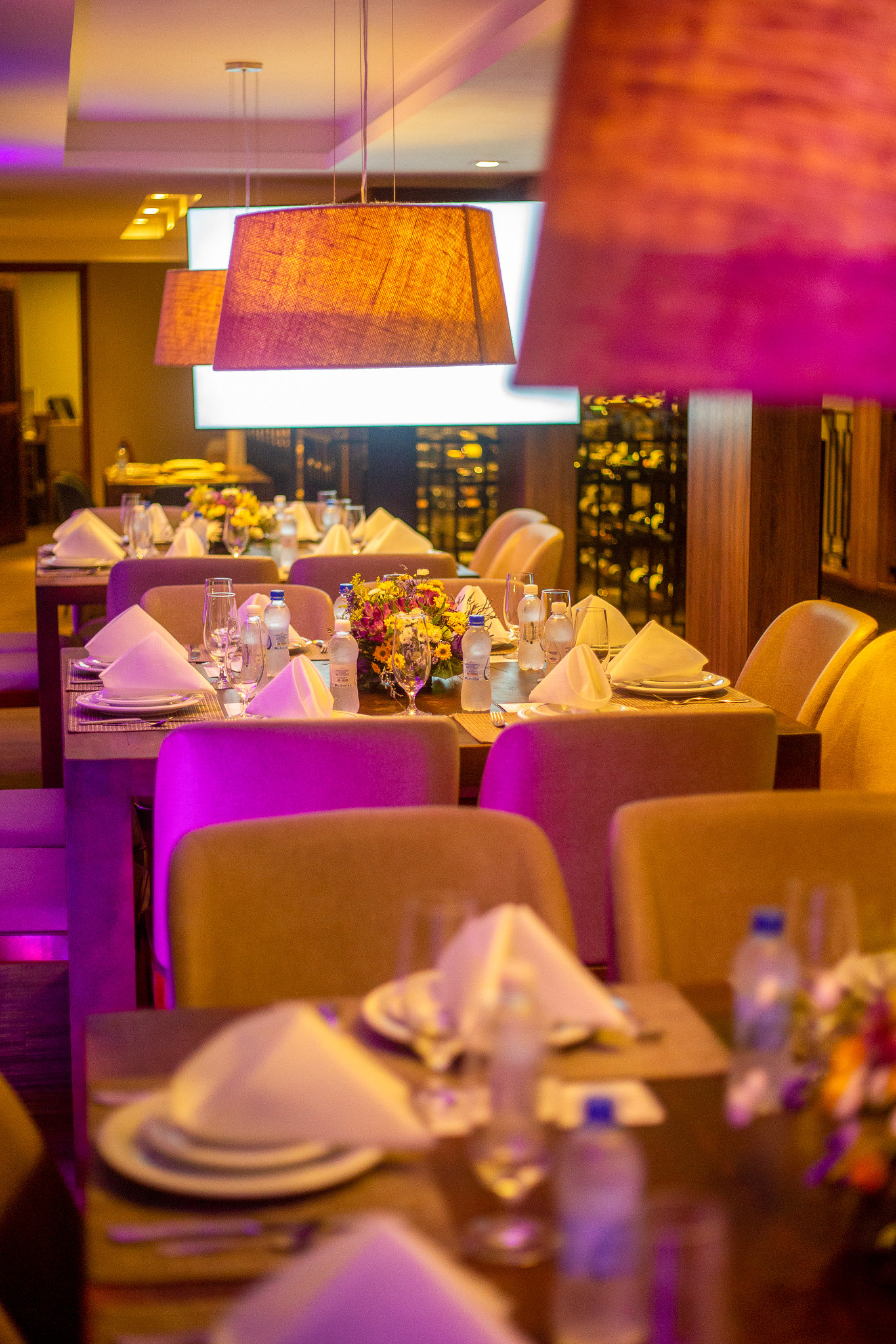 Jantar de Lançamento da BeMind em Florianopolis